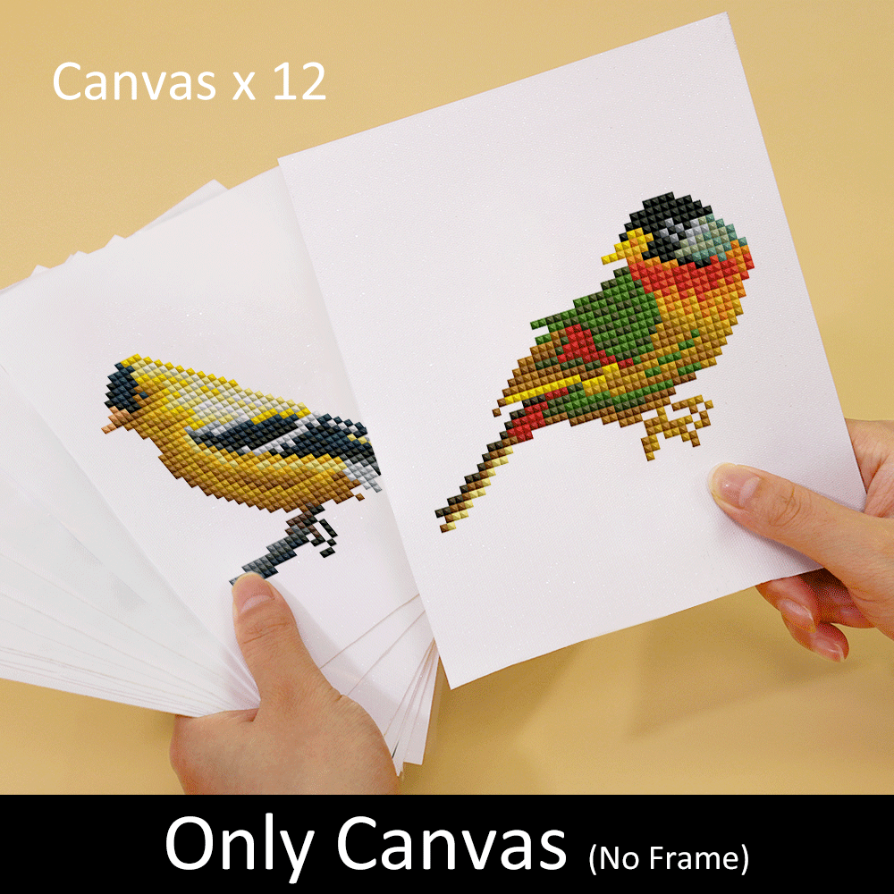 12 Colorful bird diamond painting shown with pen tool, drills, and canvas – DIY art kit.