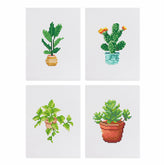Mini Kits-Plants
