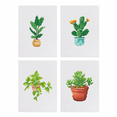Mini Kits-Plants