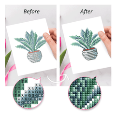 Before and after comparison of cactus and succulent diamond paintings – highlighting final sparkle finish.