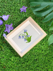 Purple and green lily of the valley flower pot diamond painting showcased outdoors, bringing calm garden energy into your space.good for beginners!
