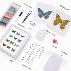 Complete butterfly diamond painting kit with canvas, diamonds, tools, glue, and color card – perfect for new crafters.