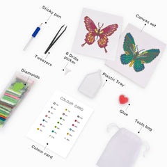 Tools and instructions for butterfly diamond painting kits