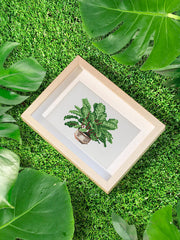 Lush green leafy diamond painting displayed in a natural setting, perfect for adding a calming garden aesthetic to your desk or home.