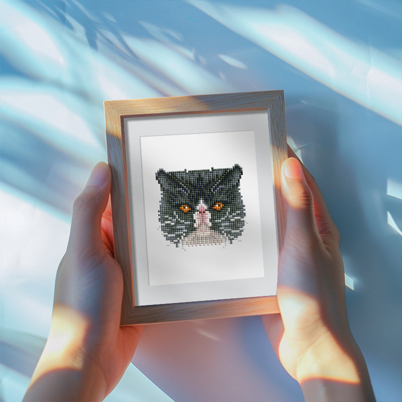 Framed black cat diamond painting held in sunlight – cozy, handmade art for cat enthusiasts