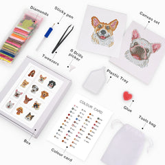 All elements of the Whiskered Wonders kit including boxed set, canvas pieces, diamonds and tools.