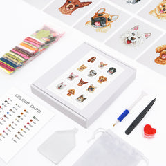 Full diamond painting toolkit and canvas set with 12 pet faces, including colour card and tools.