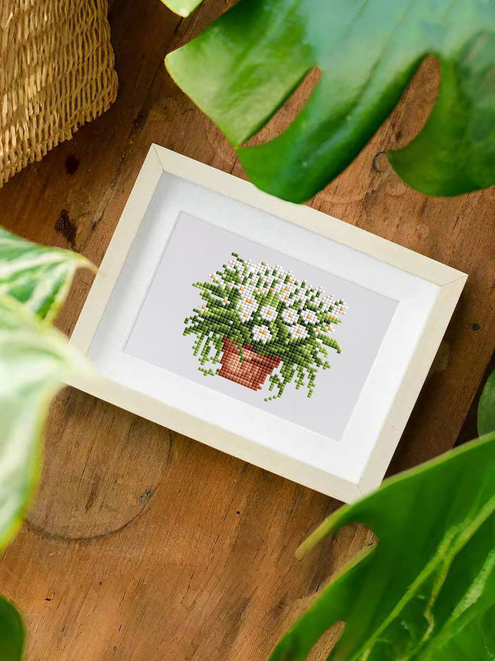Mini Kits – Home Garden Glow
