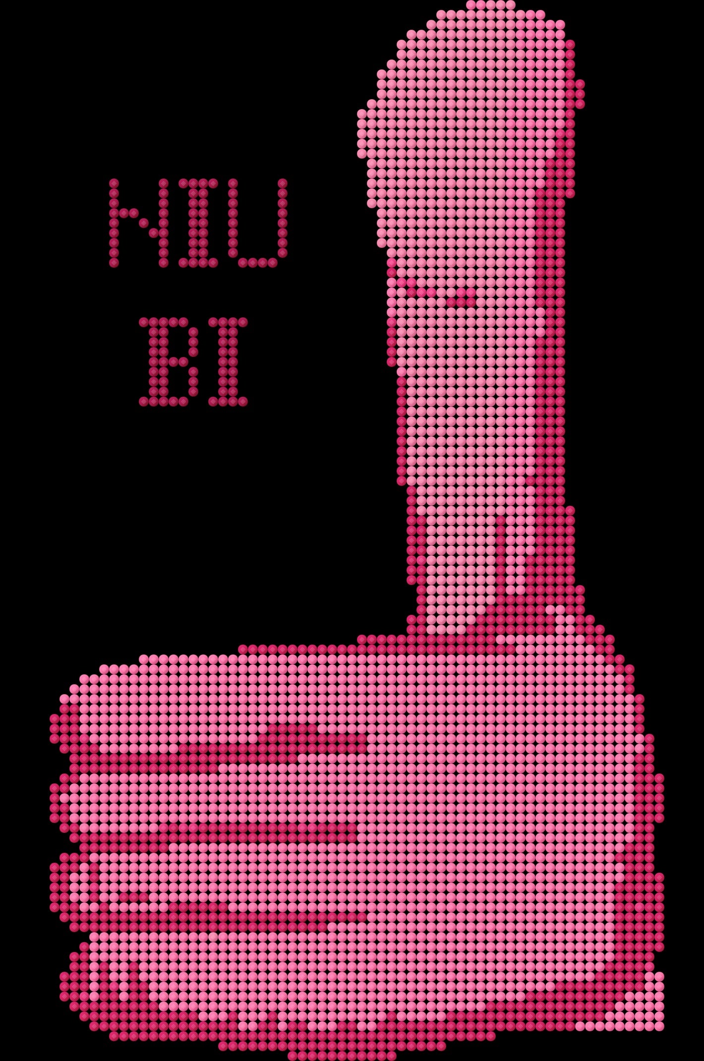 Chinese NIU BI