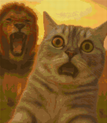 Preview of 40x50cm funny cat and lion selfie diamond painting kit. Great square diamond art for humor lovers and animal-themed room decor.