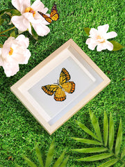 Framed yellow butterfly mini diamond painting displayed on grass with flowers – makes a bright and cheerful handmade gift.