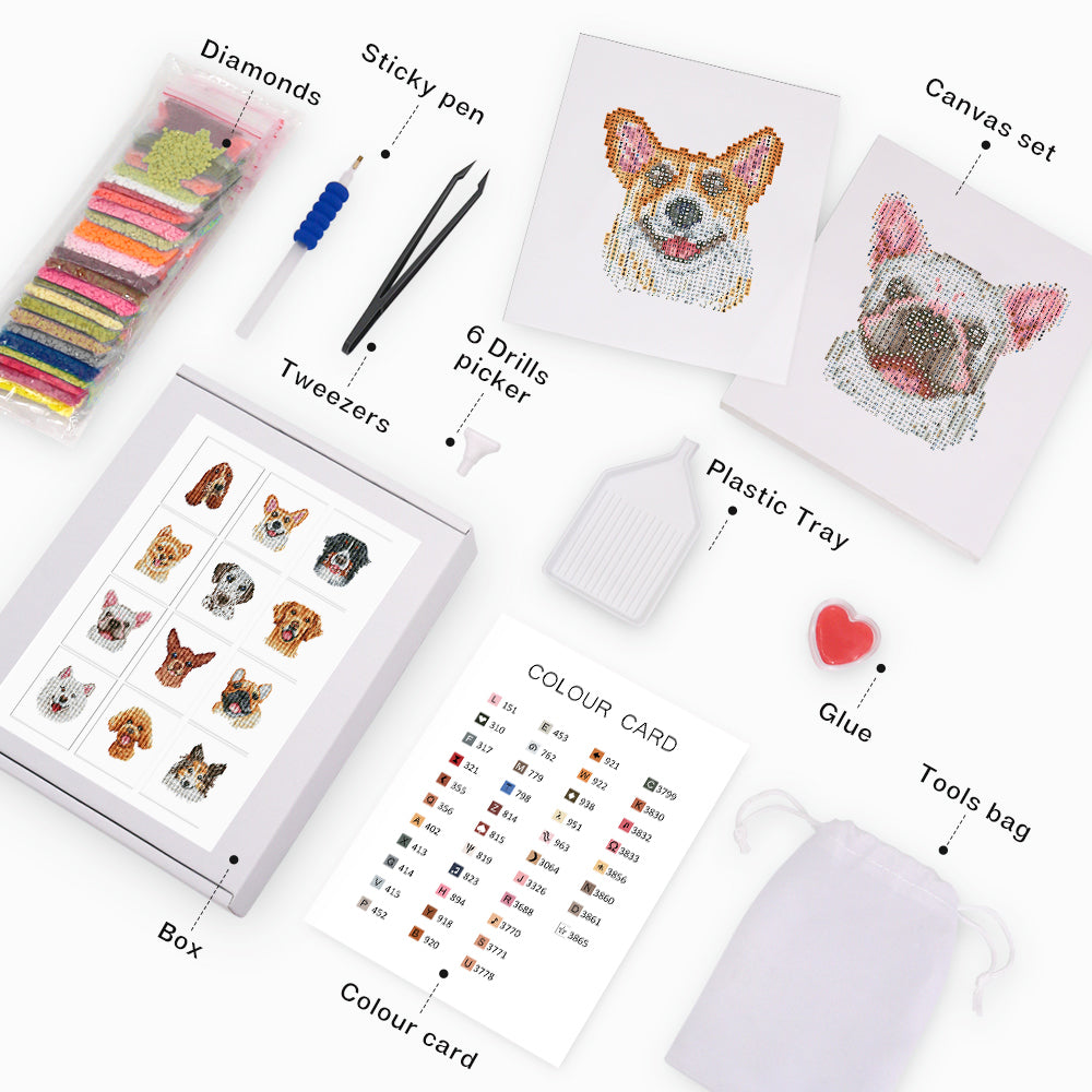 All elements of the Whiskered Wonders kit including boxed set, canvas pieces, diamonds and tools.